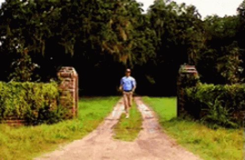 image.gif.97bf62a7859acc507b7feeee9cfb9b86.gif