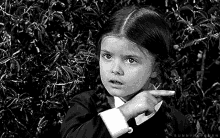 image.gif.dc38148d8e7d58736f8a5e63e563ef94.gif