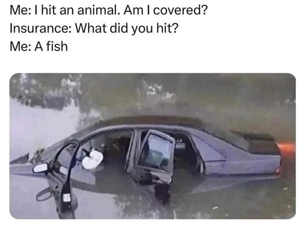image.jpeg.0d5f4317753e823b4f520914cbebf162.jpeg