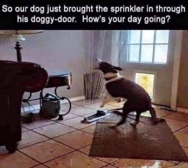 image.jpeg.0f0c9f239b6f39960d72017daf348832.jpeg