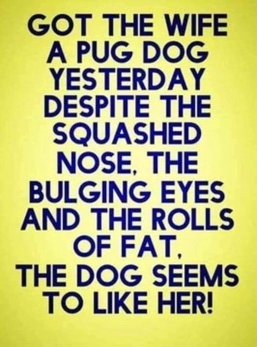 image.jpeg.a7020d919cd2149e813a4d85ba72e6b7.jpeg