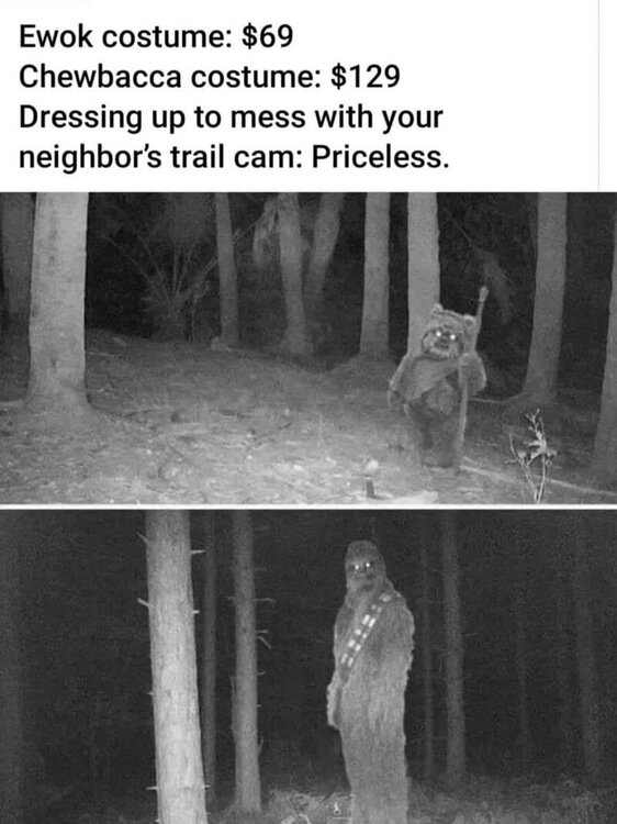 image.thumb.jpeg.96ba2662567b4b0a0ba5e783b805f987.jpeg