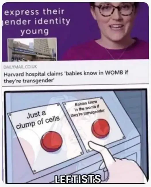 leftists-harvard-gender-identity-womb-trans-clump-of-cells-1.webp.87101405aaf283bb2bbbec3225b33cdb.webp