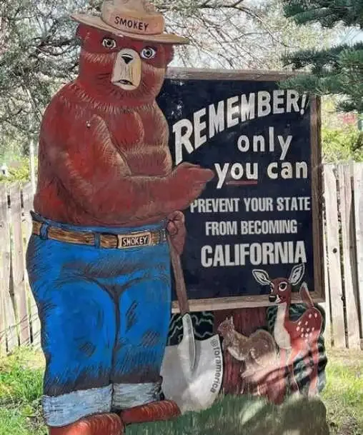 smokey-the-bear-only-use-prevent-your-state-becoming-california.webp.40f22df6b73b12f5df8e323b3f4a235f.webp