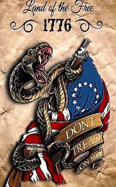 1138012845_U.S.DontTreadOnMe.thumb.jpg.e9c09d51a339a315621945e41ab1158e.jpg