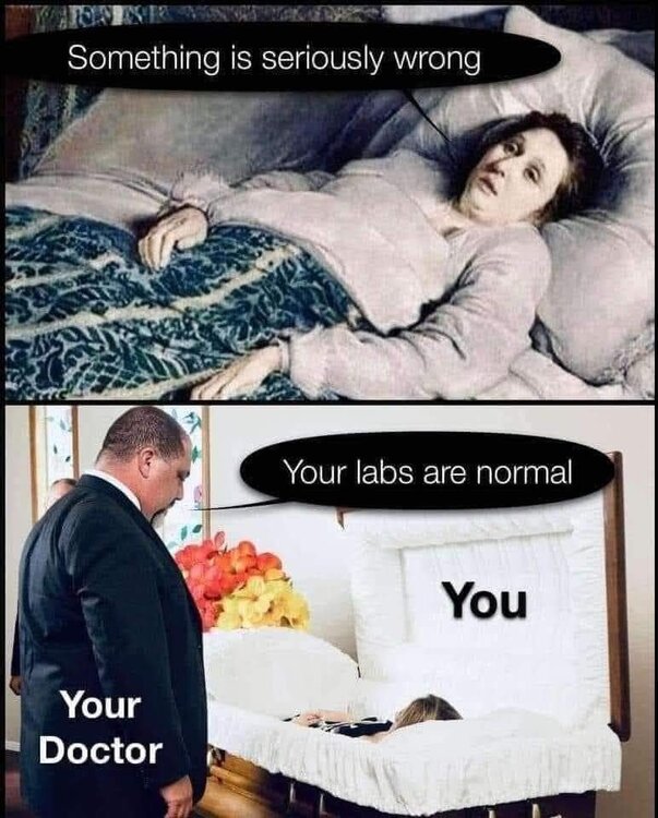 FB_IMG_1722386186938.jpg