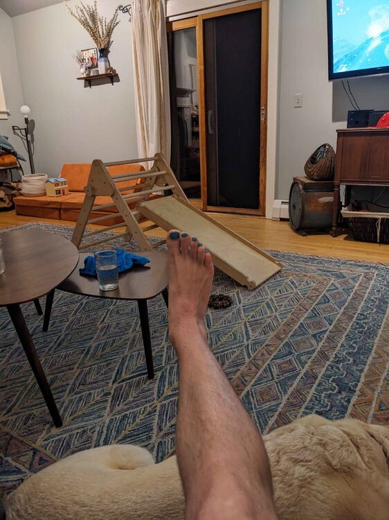 PXL_20240603_011243882_MP.thumb.jpg.a5b866523ced094f347564682d23fc8f.jpg