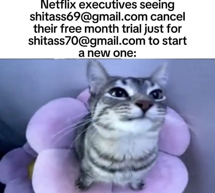 Screenshot_20240711_223313_Instagram.jpg