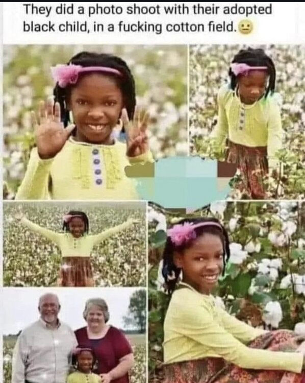 Screenshot_20240713_193742_Instagram.thumb.jpg.9a6435b7b3f6f68c8e9fb42c6634188d.jpg