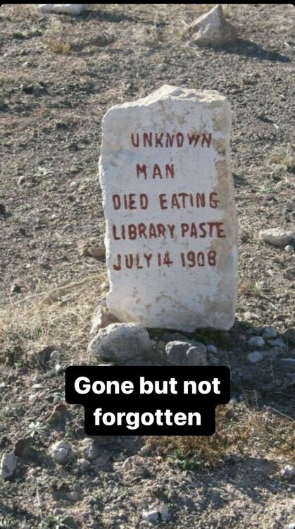 Screenshot_20240714_211705_Instagram.jpg