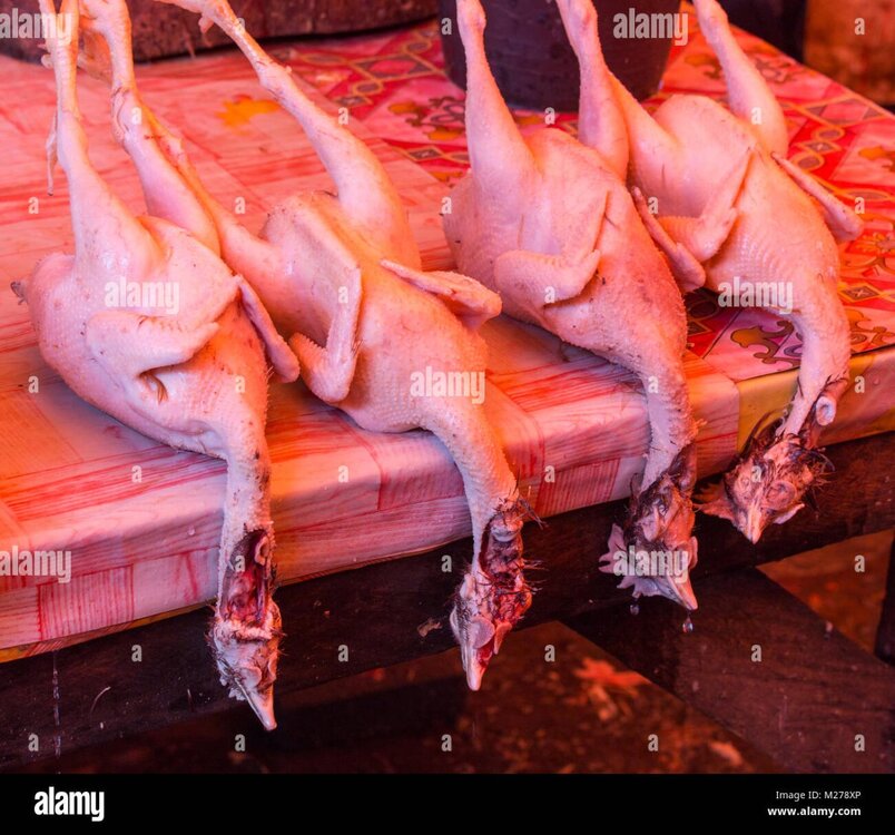 halal-killed-chickens-at-street-market-in-indonesia-M278XP.thumb.jpg.f27850b475500838272dcd8d0471cf26.jpg