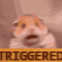 image.gif.063ff2145c336cba590b1cce5c9a28b9.gif