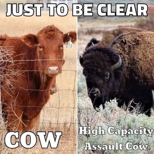 image.jpeg.cde7de03b57710c5d0f3b8e409c6edc1.jpeg