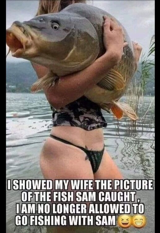 image.thumb.jpeg.5eacb9c93949de80d817a11646c67f48.jpeg
