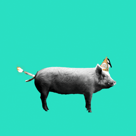 1453508435_HappyBirthdayPig.GIF.cdc841949727454a680fa5c9e6ab8b55.GIF