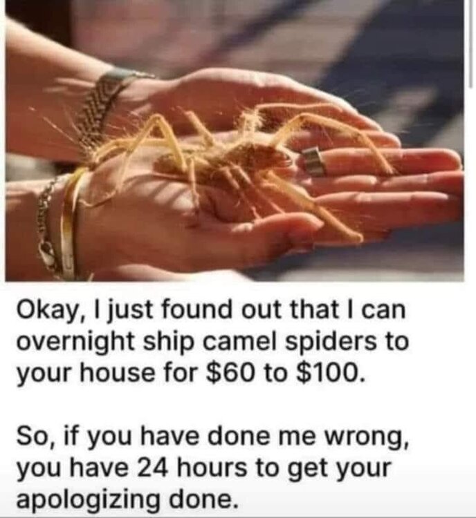IMG_3597.thumb.jpeg.2b813472f1dfb3d7a918883f58ea1f1a.jpeg