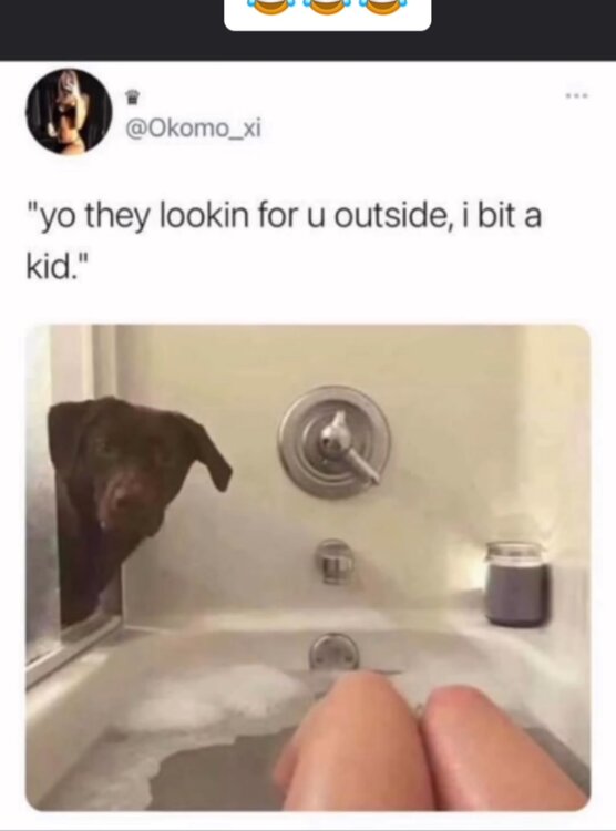 IMG_3689.thumb.jpeg.2b8bd9859a7b23b46c8e9b36bdae3264.jpeg