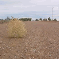 image.gif.6b2127abb7074a1569521951ce2eff33.gif