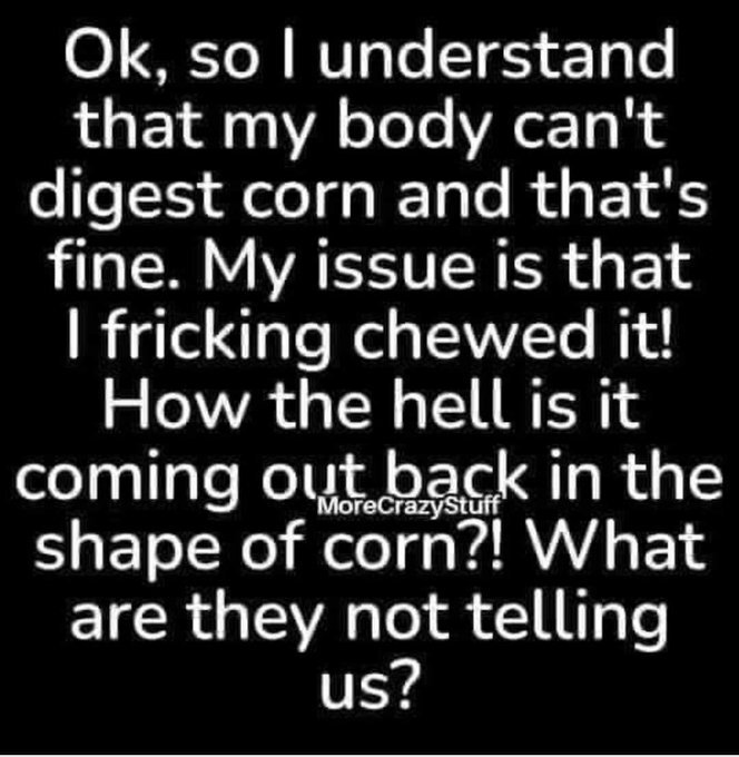 image.jpeg.4f24ca996cd037ee955143e55491cb12.jpeg