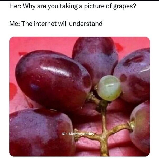 image.jpeg.d48e891c54222b193692fba0f9f4113b.jpeg