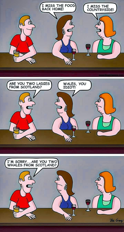 image.thumb.png.d89cc550c33617620e3a6d7545a0cdd4.png