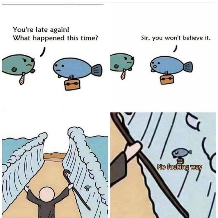 2nxogz3o80rd1.jpeg