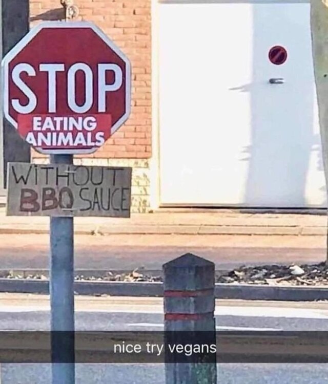 460124500_508105311963313_2890219843230590934_n.jpg