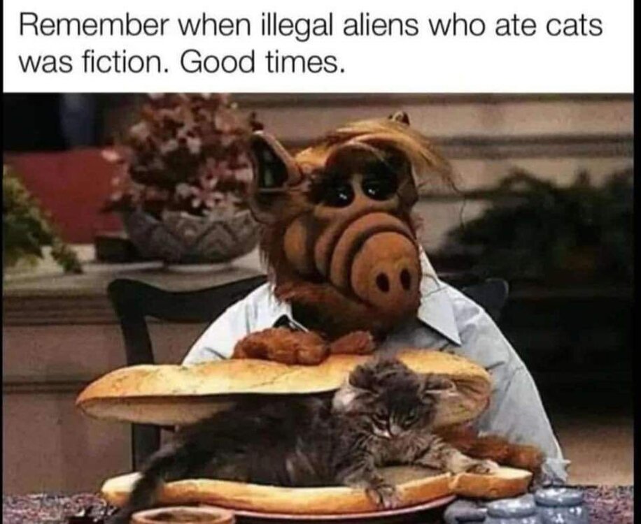 FB_IMG_1726076092024.jpg