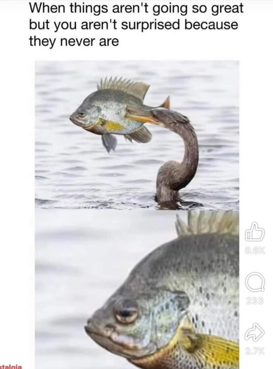 FB_IMG_1727294600171.jpg