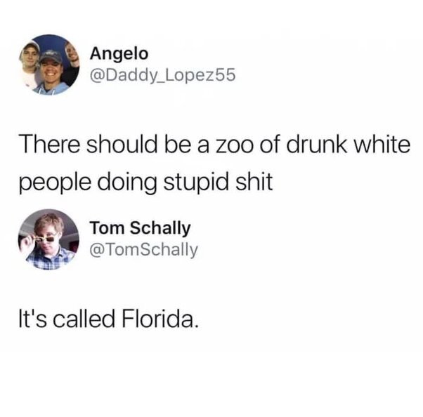 image.jpeg.1f20fff932063305632f4bf0c048be76.jpeg