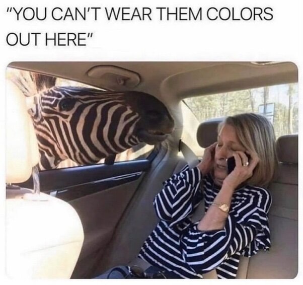 image.jpeg.327252e8b2db1221f45a27dee572c4d5.jpeg
