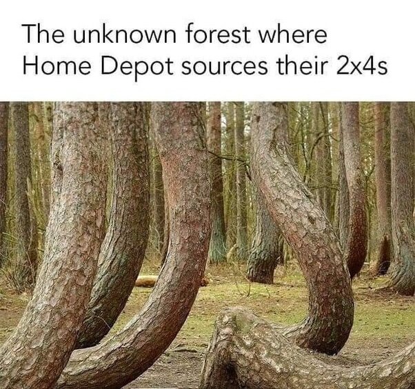 image.jpeg.45c038de233b2e64bd8bd16dfe412533.jpeg