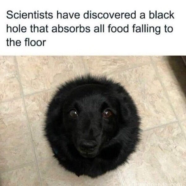 image.jpeg.5b6560aca19937e44c7d9b56d9ec988d.jpeg