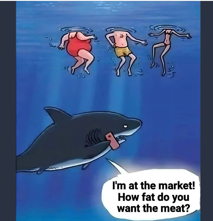image.thumb.png.d7cbf8224566a797cb984273725f7c4f.png