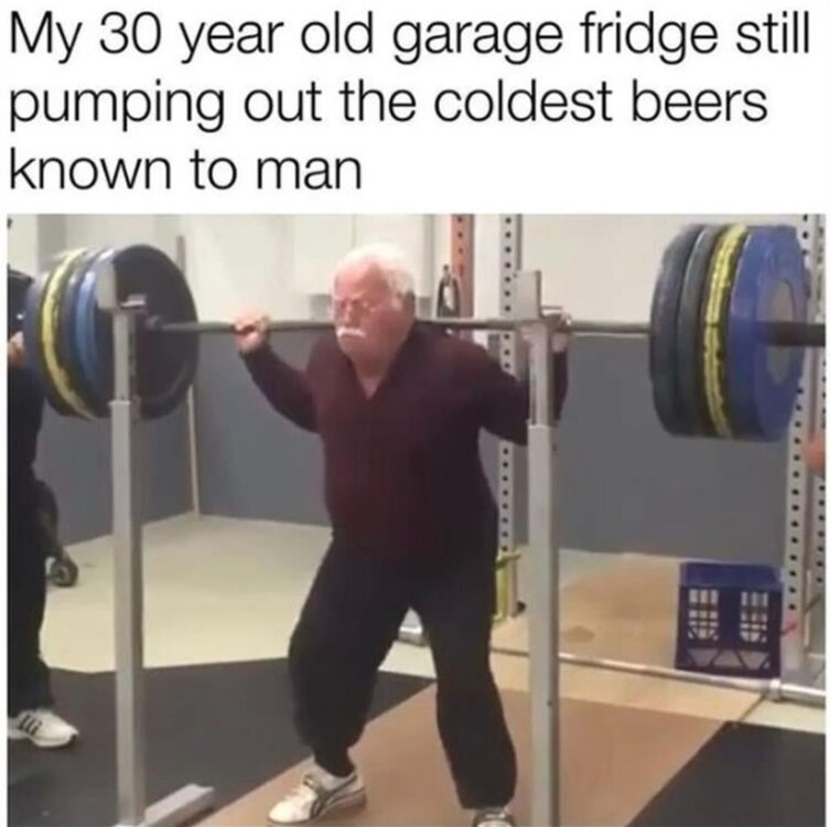 462629840_979534967543236_4372786757901796969_n.jpg