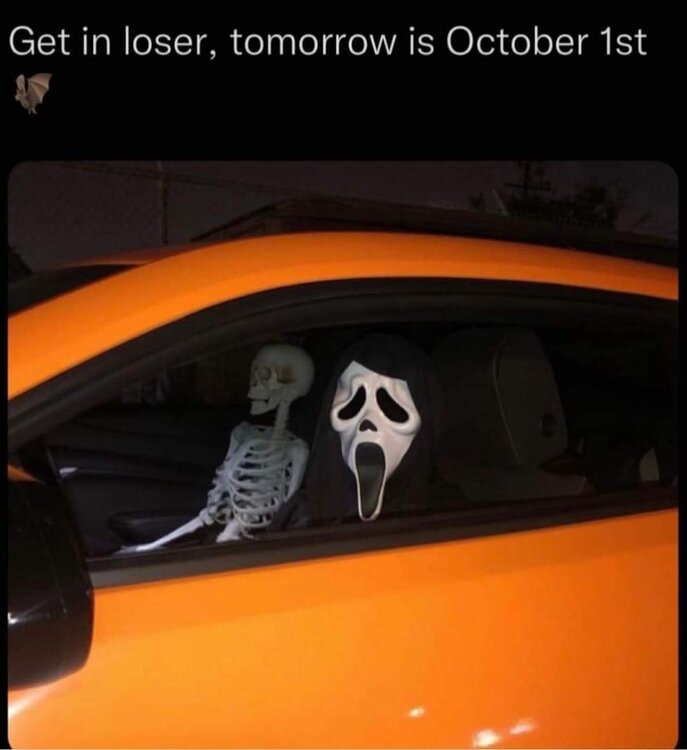 FB_IMG_1727752096577.jpg