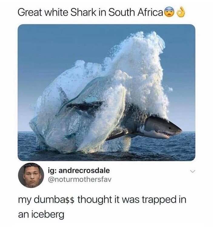 IMG_4250.thumb.jpeg.55fa5870d2b55b0f00fa09902113945a.jpeg