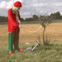 image.gif.f4bfea590695a35f52030ba658d898a8.gif