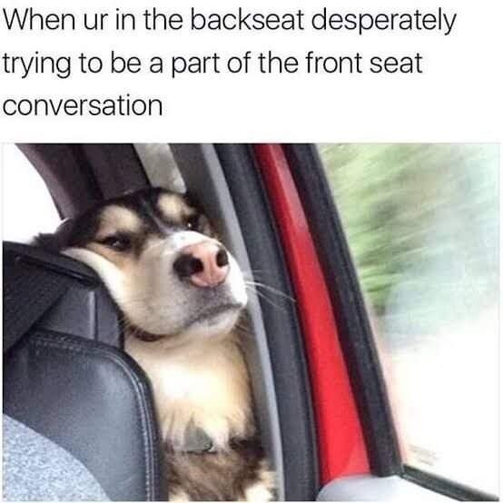 image.jpeg.39e35e6be8a09446168be7263355710c.jpeg