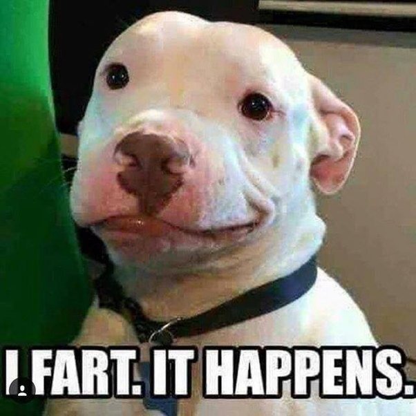 image.jpeg.5c036212aa475ab2f1a17294f747ea01.jpeg