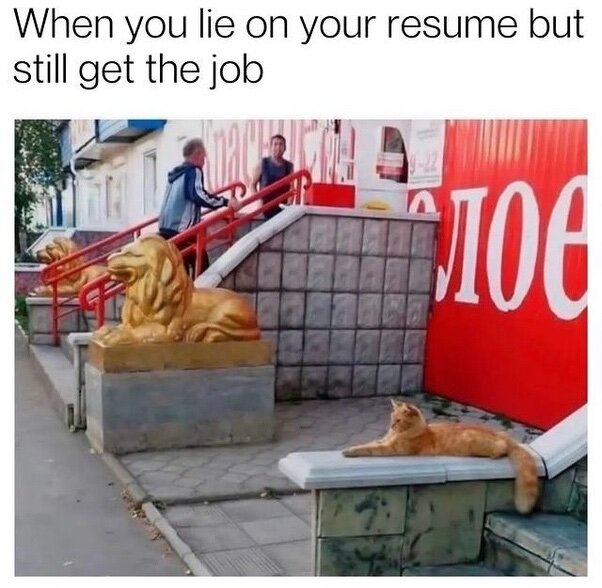 image.jpeg.62b273b3561bc14baaa9a22c7754903b.jpeg