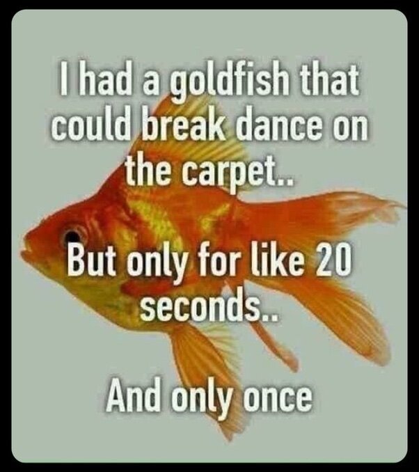 image.jpeg.cced003a751d5026abe46341ad3ffc10.jpeg