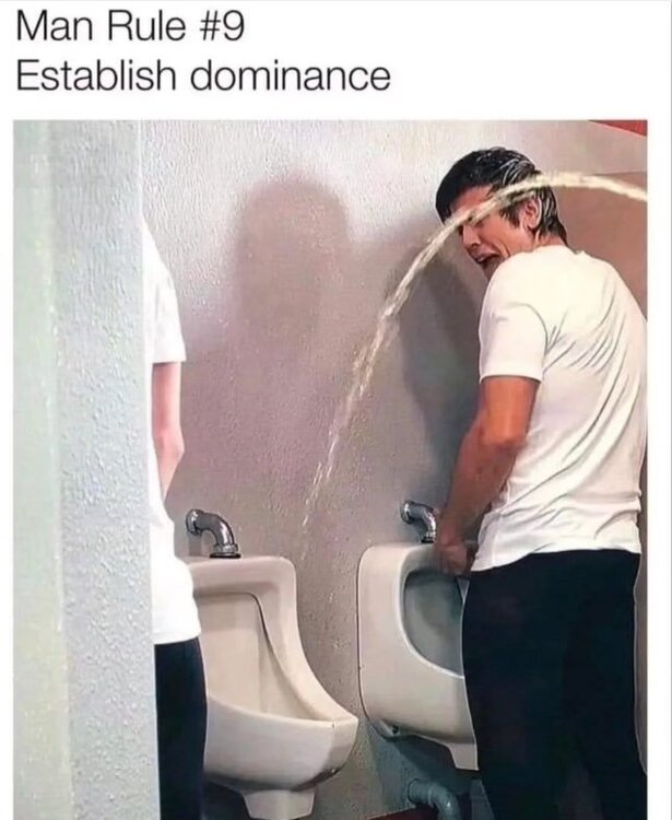 image.thumb.jpeg.9b5ed6c0d14896a1a87cca6e3c95f642.jpeg