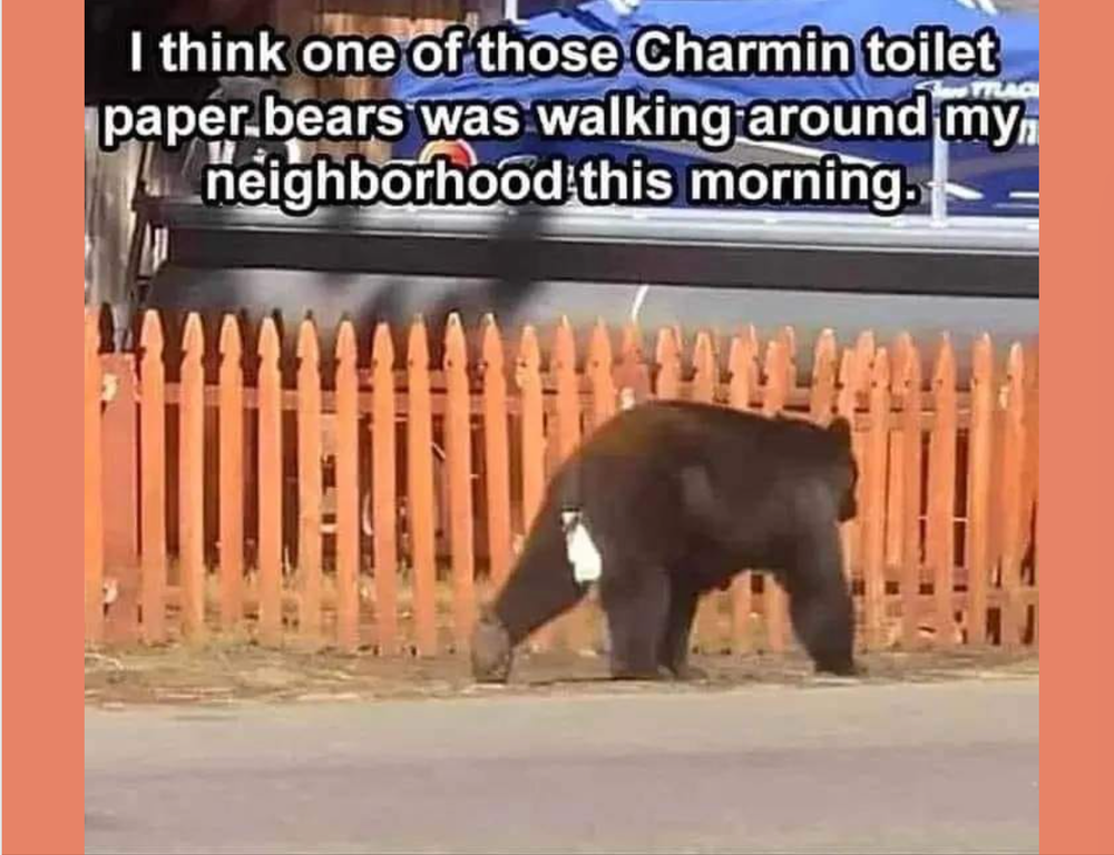 image.thumb.png.40beaca745403880ae08084d9b766166.png