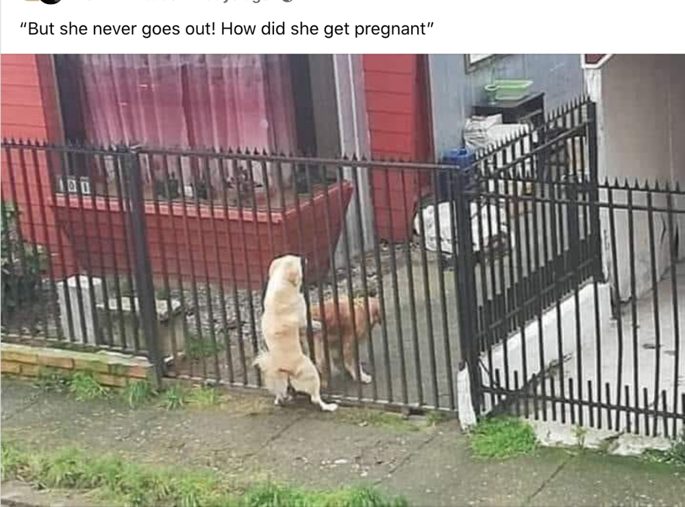 image.thumb.png.fd0a032123d0daebe213033572da5a4d.png