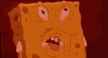 spongebob-meme.gif.4797b87d682400f293780c3c49cc7c0d.gif