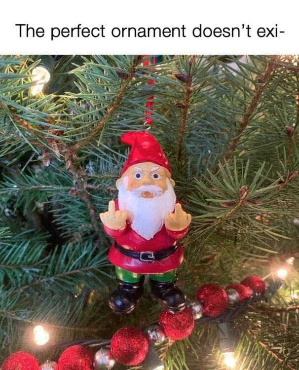 FB_IMG_1732821439434.jpg