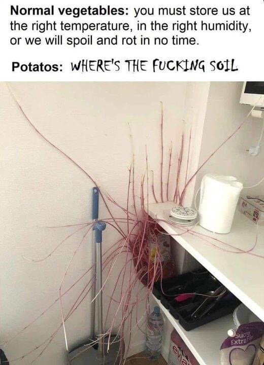IMG_4823.jpeg.93a00035b71f8ccd676961ea28ca158d.jpeg