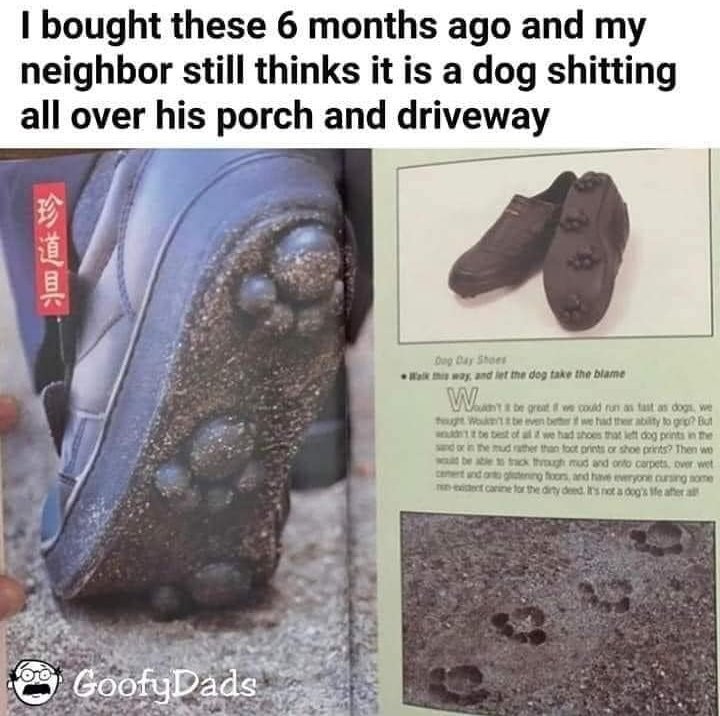 Screenshot_20241112_123017_Instagram.jpg.f64f1b88ff3e101fe90974bcbde1f44c.jpg