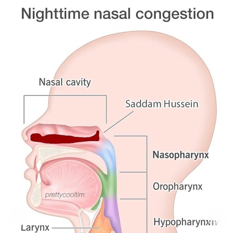 Screenshot_20241120_204917_Instagram.jpg